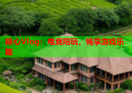糖心Vlog：电竞陪玩，畅享游戏乐趣