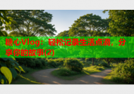 糖心Vlog：轻松记录生活点滴，分享你的故事(2)