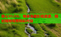 糖心VLOG：畅享海量影视资源，随时随地观看精彩内容