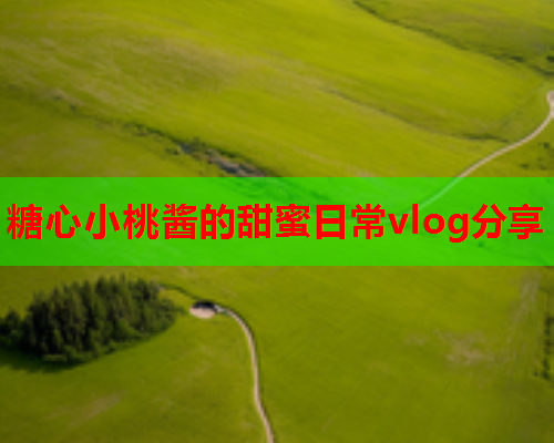 糖心小桃酱的甜蜜日常vlog分享  第2张