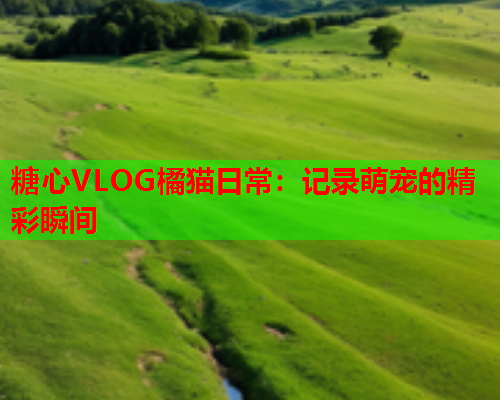 糖心VLOG橘猫日常：记录萌宠的精彩瞬间  第1张