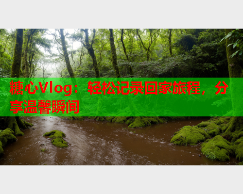 糖心Vlog：轻松记录回家旅程，分享温馨瞬间  第2张
