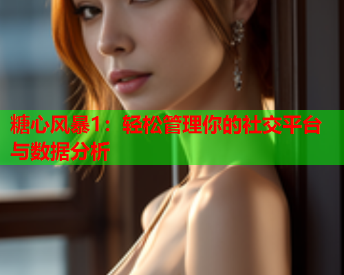 糖心风暴1：轻松管理你的社交平台与数据分析  第1张